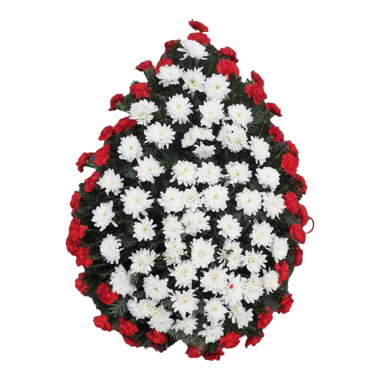 Coroana funerara naturala realizata din crizanteme albe (#FFFFFF) si conturul este realizat din garoafe rosii (#E30049) si lucrata din brad proaspat verde (#355E3B)