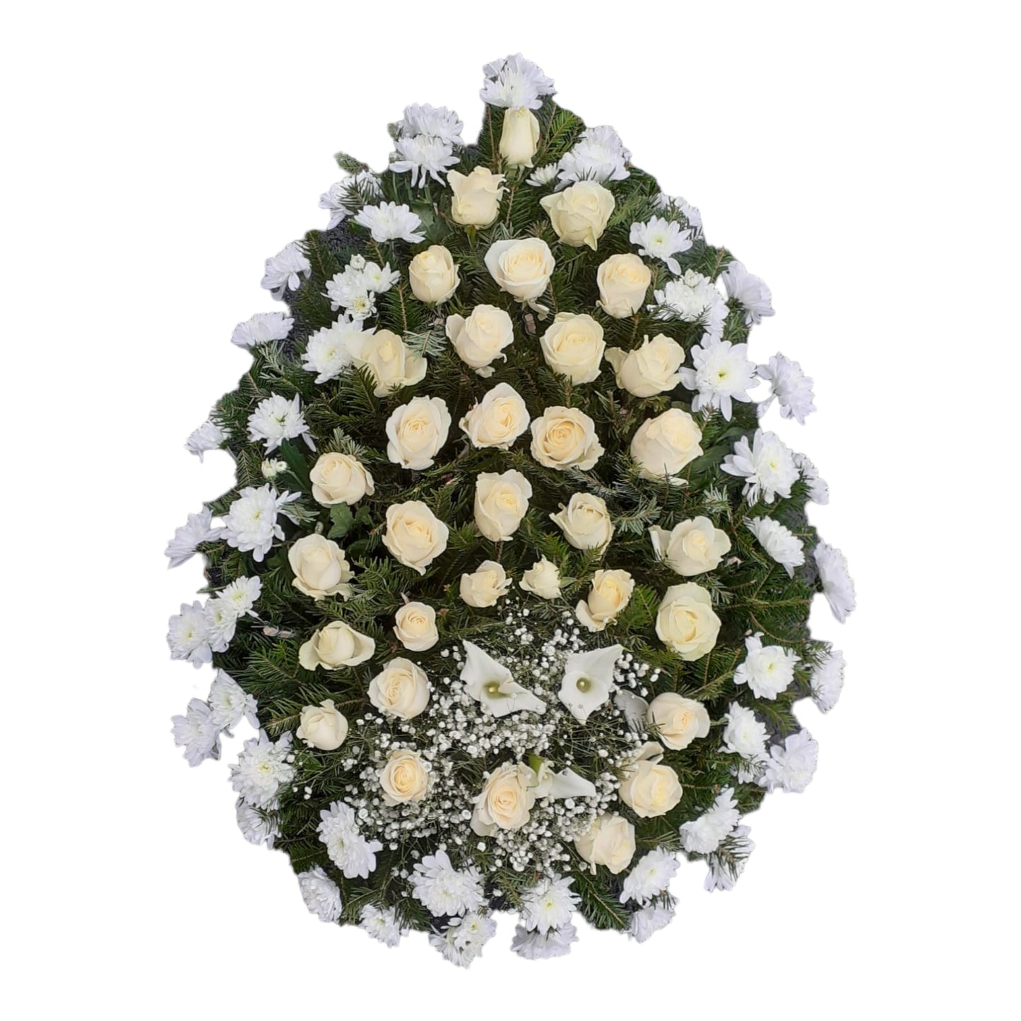 Coroana funerare naturala realizata dintr-un pat de trandafiri de un alb-crem (#FFF0C9), la baza sunt amplasate cale si mini hortensii albe (#FFFFFF). Conturul coroanei este realizat din crizanteme albe (#FFFFFF)