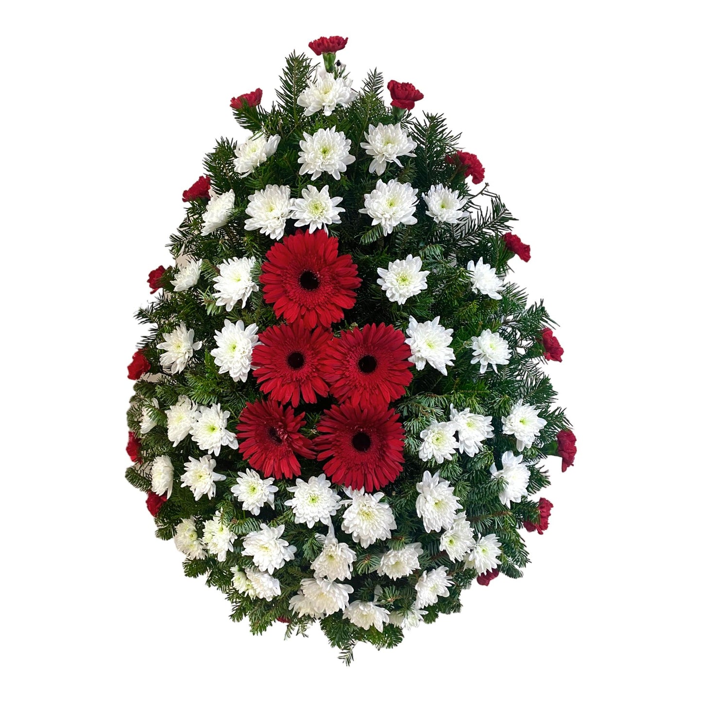 Coroana funerara naturala din gerbera rosie (DC143C) situate pe mijloc, crizantemele albe (#FFFFFF) situate pe intreaga suprafata a coroanei, iar conturul este realizat din garoafe rosii (#ED2839)