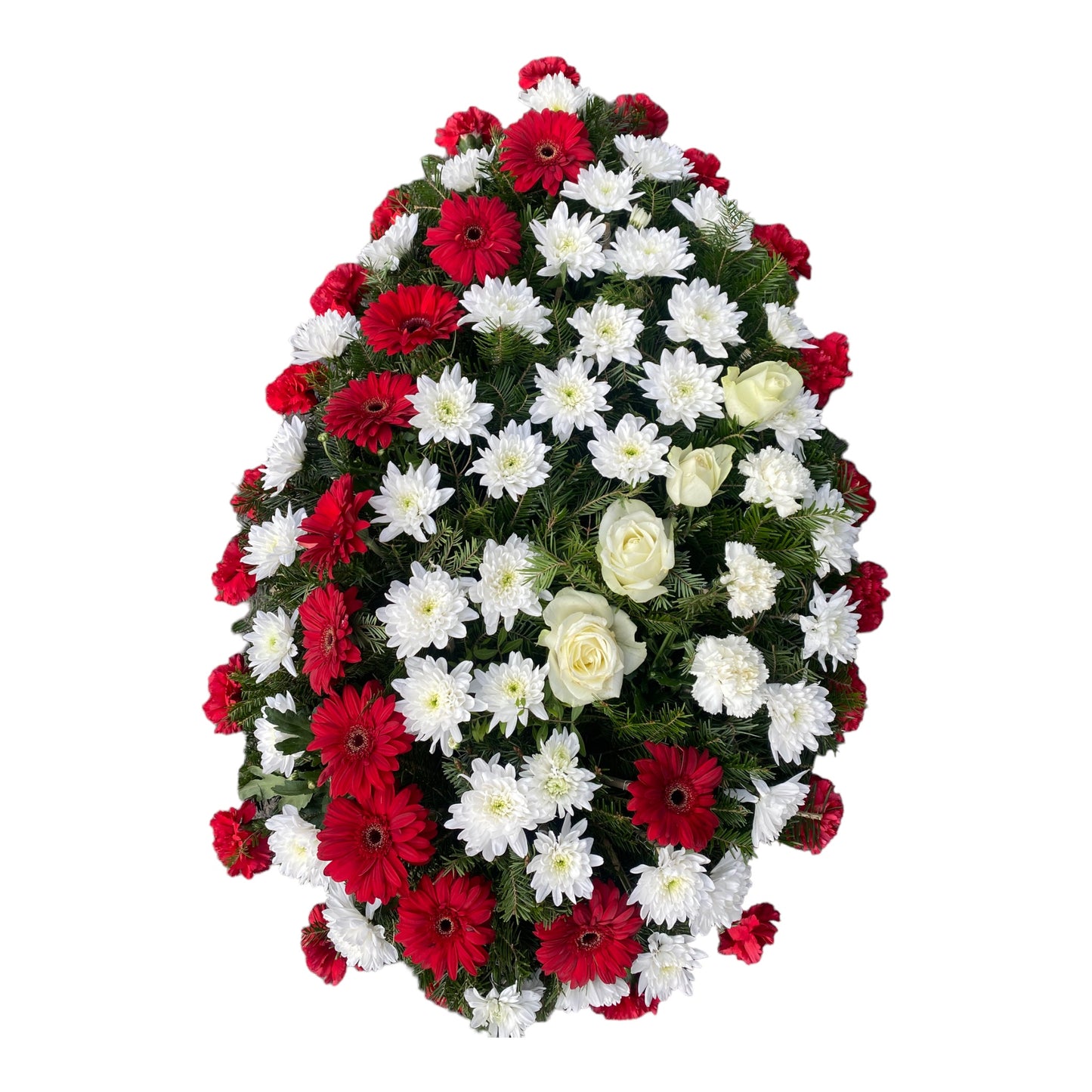 Coroana funerara naturala realizata din crizanteme albe (#FFFFFF), o linie de gerbera rosie (#C80815) si o linie de trandafiri albi crem (#FFFDD0). Conturul este realizat din garoafe rosii (#ED2939)