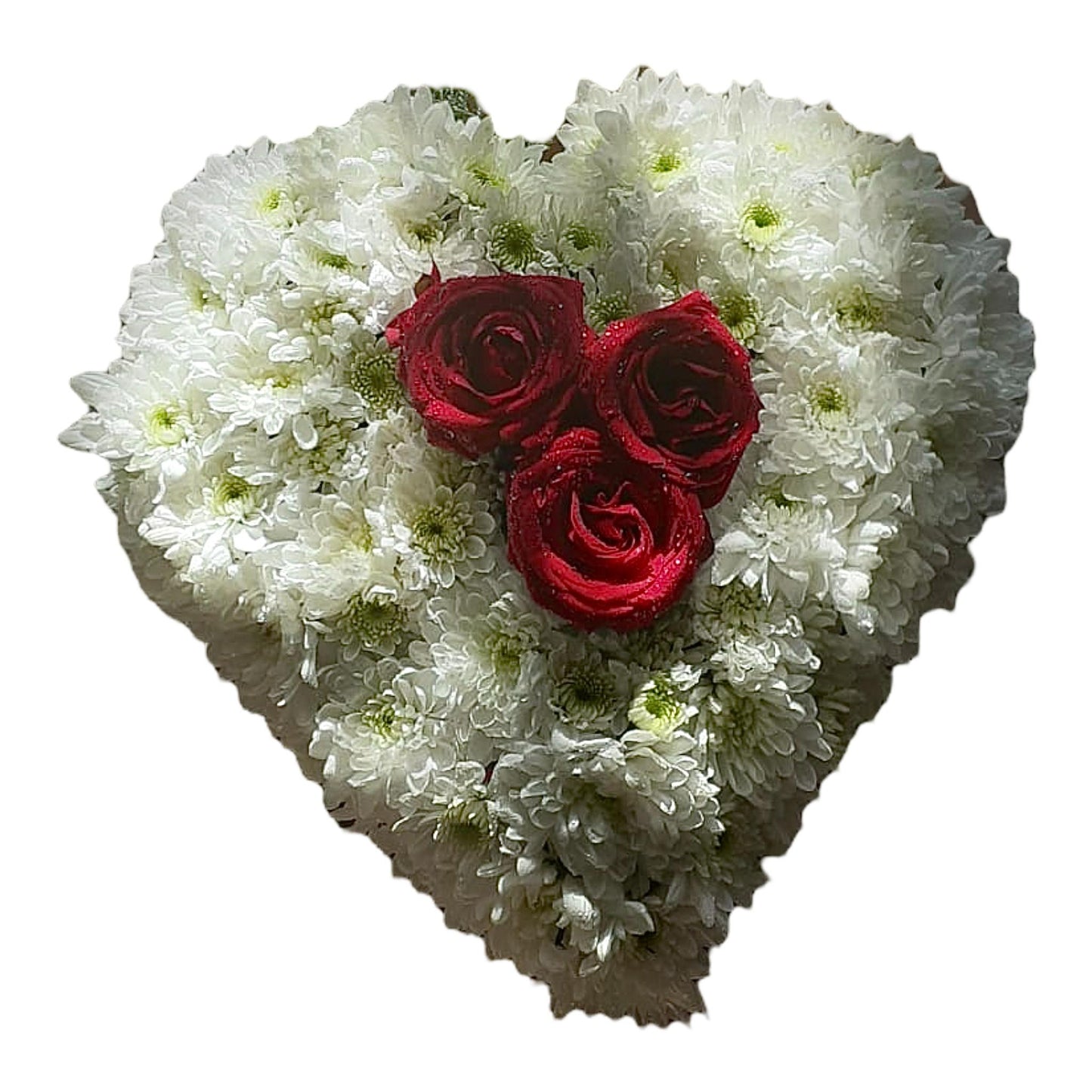 Coroană funerară naturală în forma de inimă. Pe centru se află 3 trandafiri roșii. Restul formei o dau crizantemele albe.
