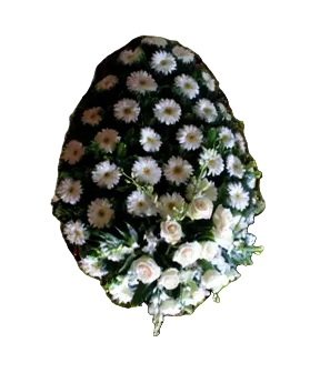 Coroana funerara naturala din gerbera alba si lisianthus alb in partea de jos
